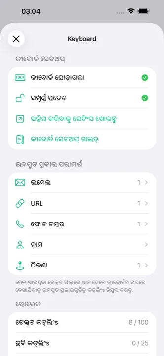 iCloud ସିଙ୍କ ସହିତ ସେଟିଂସ ସ୍କ୍ରିନ